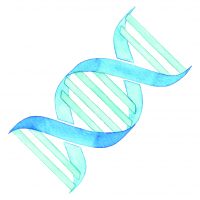 Watercolor depiction of DNA strand
