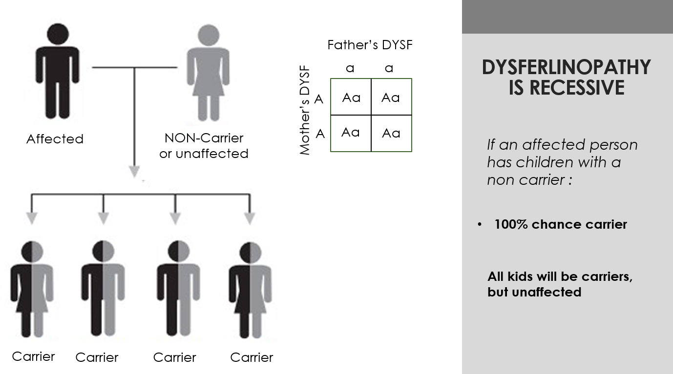 Autosomal Recessive Inheritance-affected-unaffected DYSF Autosomal Recessive Inheritance-affected-unaffected chart