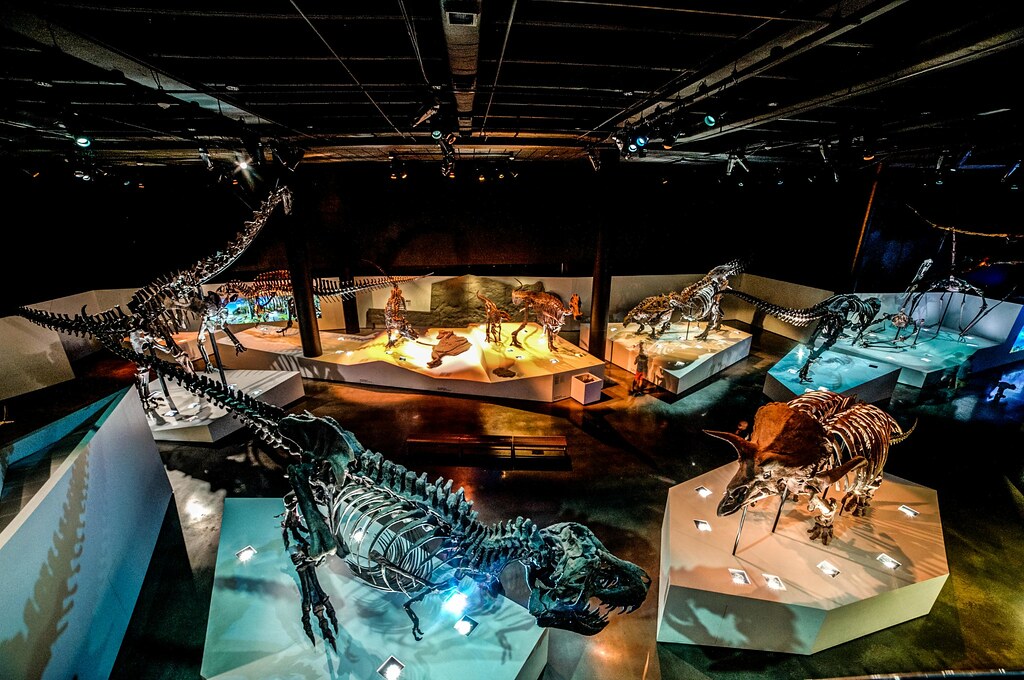Morian Hall of Paleontology